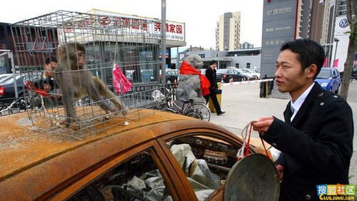 2010国内年度奇闻趣事(组图)