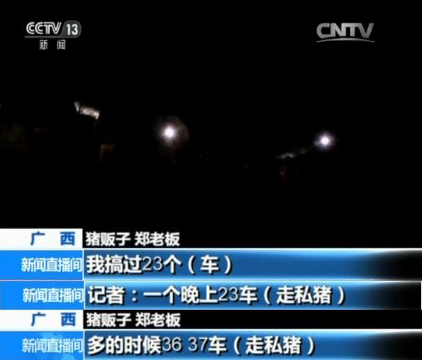 央视揭秘越南生猪走私利益链：1天上万头偷渡中国