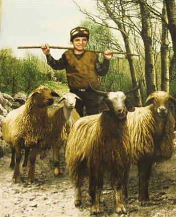 �ֹ���̺�����Ų�Ʒȴ�м��߼�ֵ