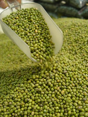 绿豆大蒜投机高涨 品种亟待推上期货市场