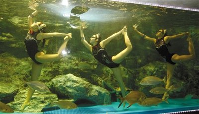 韩国女子穿猫形泳衣 表演水下芭蕾(图)