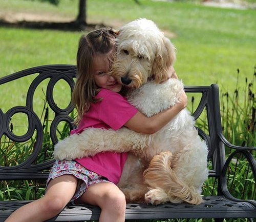 小狗嗅嗅 保护小主人生命安全(图)