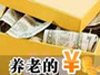 養老金到底該怎樣投資