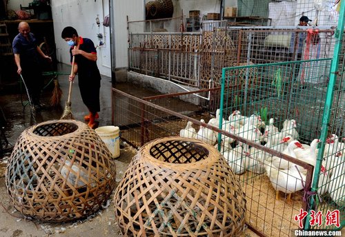 福州海峡家禽批发市场重新开门营业