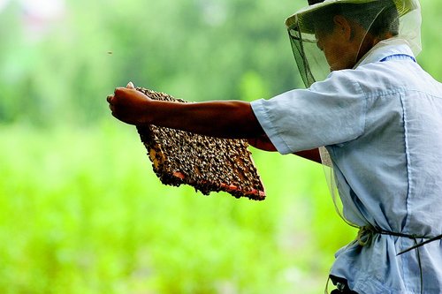 ȫ��ҩҵ�Ƽٷ佺�¼������и�ǳ ״��������