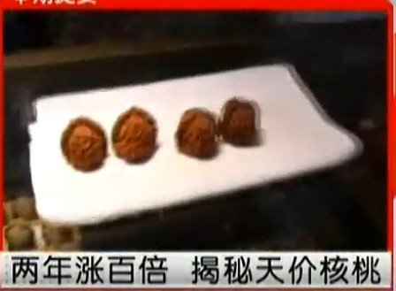 两年涨百倍 揭秘天价核桃