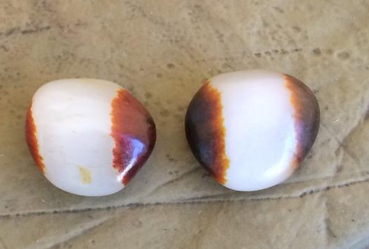 �������ղص���߾�����ʲô��