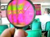 A-partes fundo conta bottom precursor baixo?