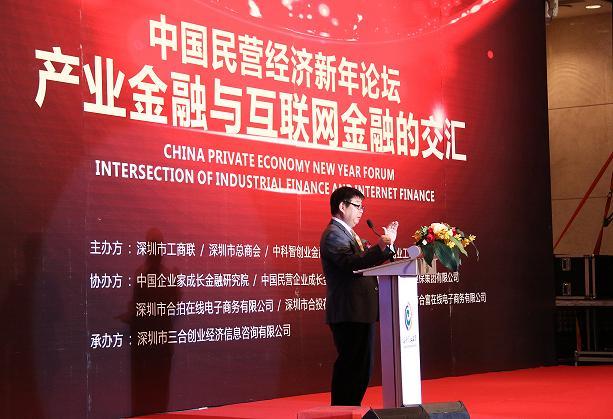 深圳gdp中国营与民营各多少_中国深圳gdp增长图(3)