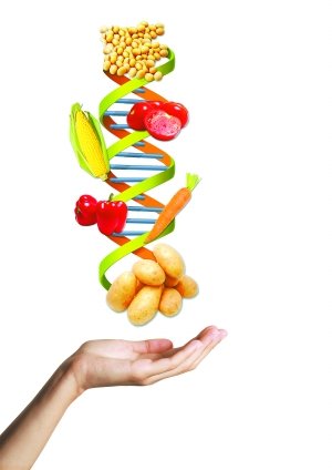 中国成转基因作物主要种植国 食品安全性仍是