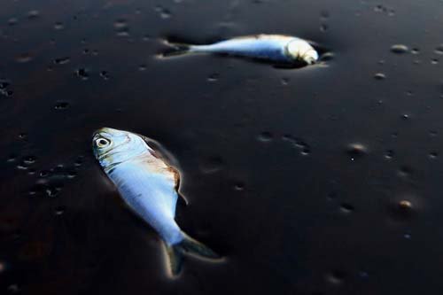 BP中国:难撇配角尴尬