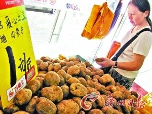 内蒙滞销土豆广州开卖 售价较市场便宜一半多