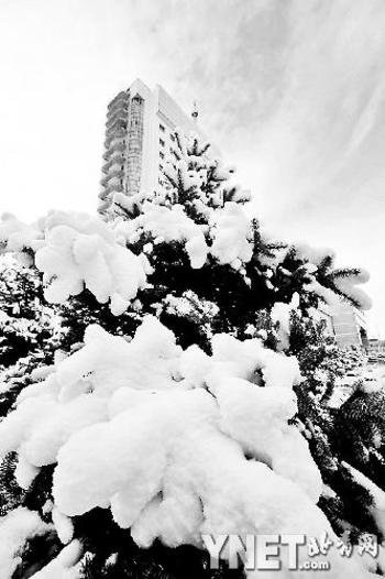 17省区市出现雾天 北方降温黑龙江入冬