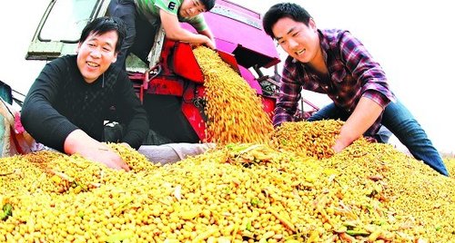 农业产业化打造江淮大粮仓 为美好乡村建设提供支撑