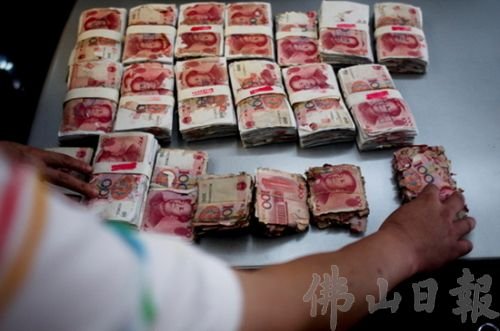 佛山六旬老太40万现金被白蚁吃掉6万