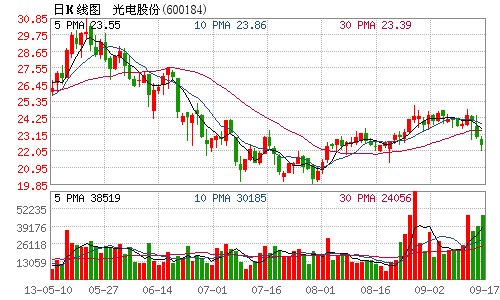 光电股份获得政府补助116万 计入2013年收入