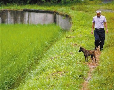 松村人口_人口老龄化