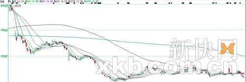 证监会披露绿大地三宗罪