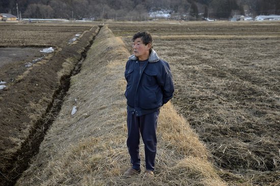 福岛核事故2周年:日本农业寄希望于无土种植
