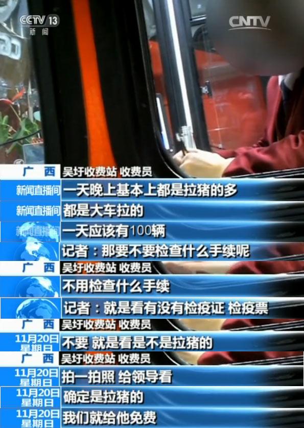 央视揭秘越南生猪走私利益链：1天上万头偷渡中国