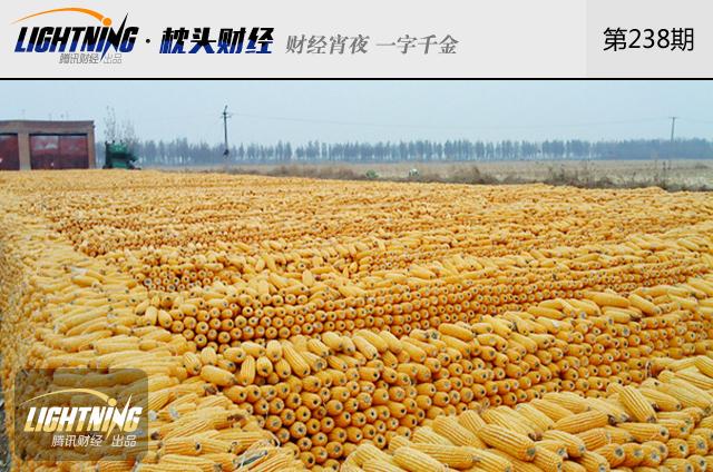 中国玉米库存2.6亿吨！快耗不起百亿成本了