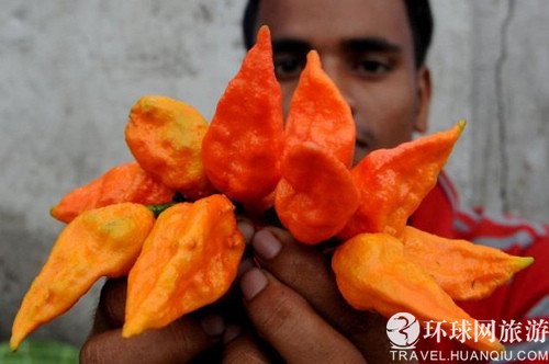 印度魔鬼椒:世界上最辣的辣椒 组图_新闻滚动_大成网_腾讯网
