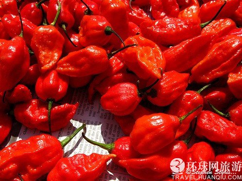 印度魔鬼椒:世界上最辣的辣椒 组图_新闻滚动