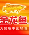 ���������������ͷ粨