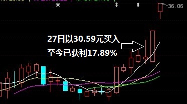 日收益冠军慓蓅操作追踪 两牛股连创新高