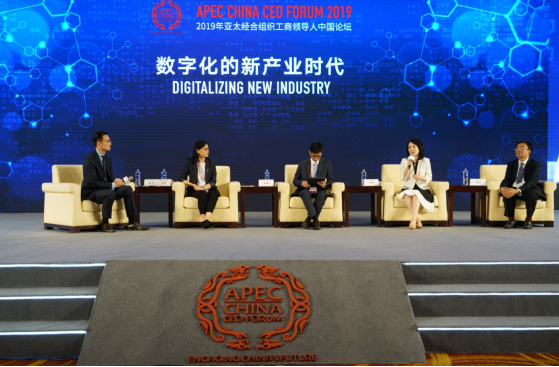 王树彤杭州APEC发声:中小企业全球价值链