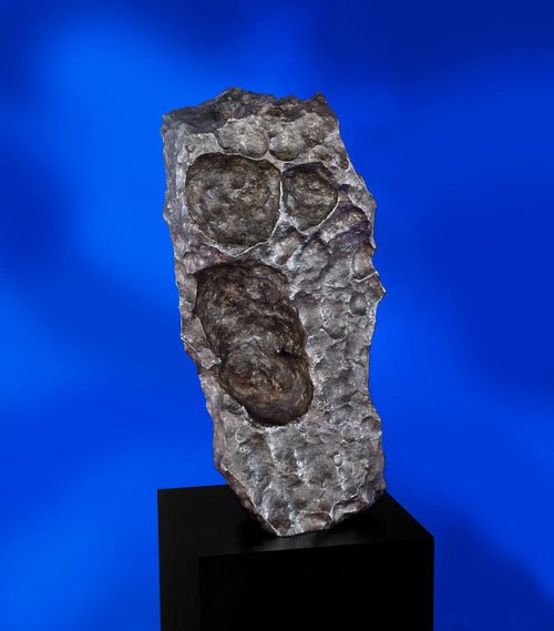 纽约将办陨石拍卖会 月球陨石有望拍至38万美