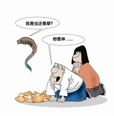 虫草价格每公斤30万元 专家质疑称是"科学笑话"