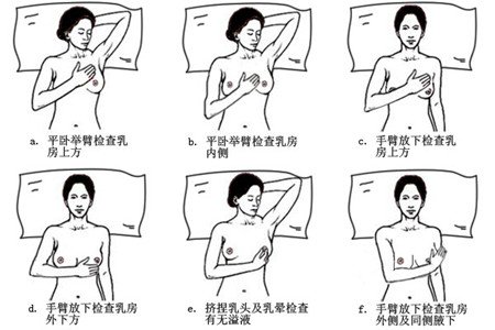 日本研究干细胞再生乳房 助乳癌患者新生