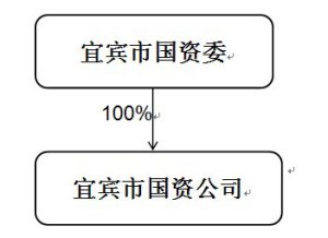宜宾纸业股份有限公司收购报告书摘要