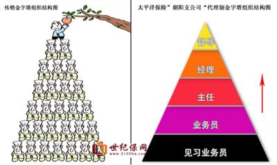 中国太保支公司组织结构金字塔与传销金字塔比