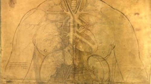 英展出达芬奇人体解剖素描 精确度惊人(图)