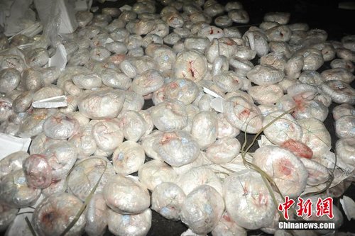 珠海边防查获走私穿山甲冻体近千只 总重约4吨