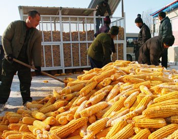 亩产万斤_吉林玉米亩产收入