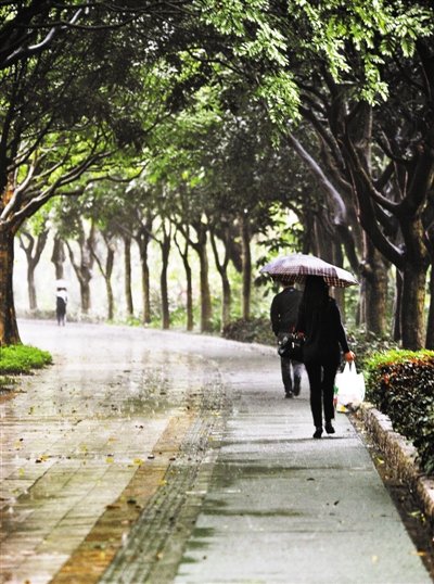 近日鹏城阴雨绵绵,气温创同期新低.