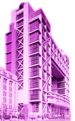 上海证券交易所2010年信息技术人员 招聘启事