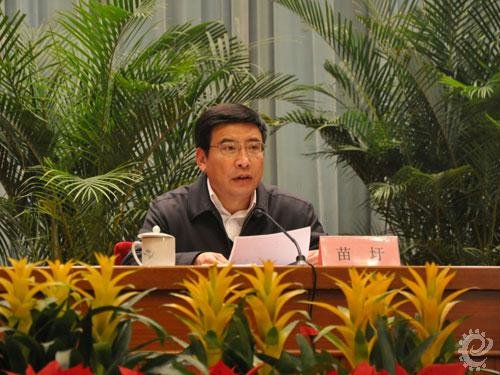 苗圩:坚持不懈抓好节能降耗减排治污工作