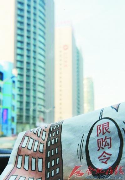 专家预测明年合肥楼市限购令或继续