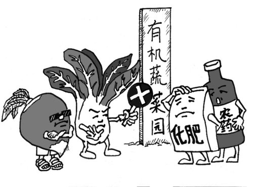 (综合)龙升欲造首家有机食品上市公司