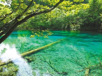 阆中古城+九寨黄龙