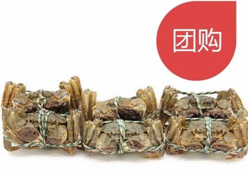调查:高价大闸蟹两折低卖疑云