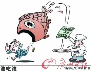 三亚防宰十大攻略:看明白、听清楚再下单