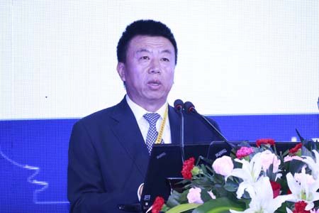 图文:中国产业海外发展和规划协会秘书长和振