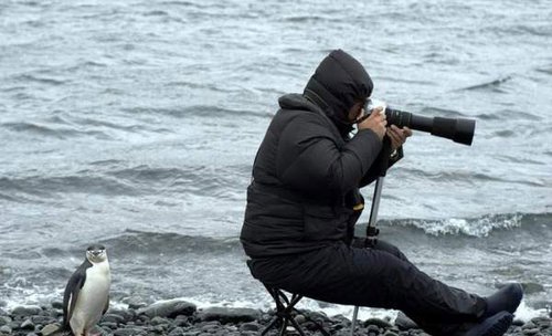 精神可嘉!各国摄影记者大显身手_新闻滚动