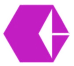 2010年常德市城市建设投资集团有限公司公司