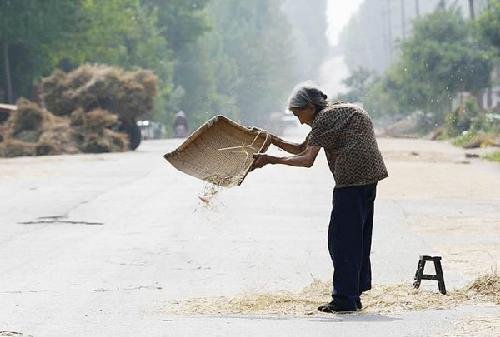 这社会还活得下去吗? 高房价下悲惨的中国老人